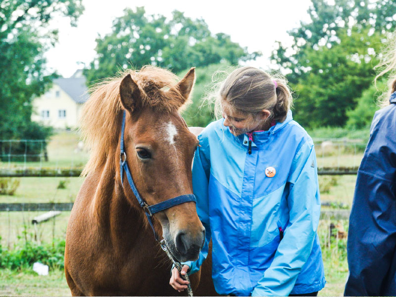 Natural-Horsemanship